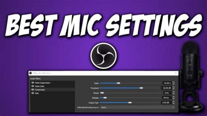 Settings for Mic