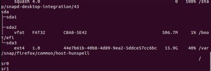 Shrinking ext4 partition on command line [duplicate]