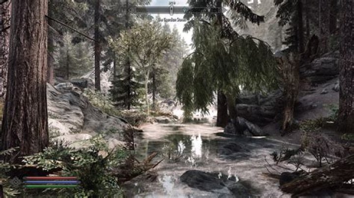Skyrim bug. Water textures flickering, Screen stuttering black, and Animals flying into the sky