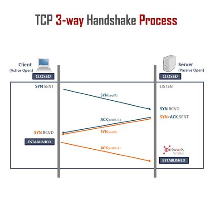 Socket closed abruptly during opening handshake while trying to connect to RabbitMq