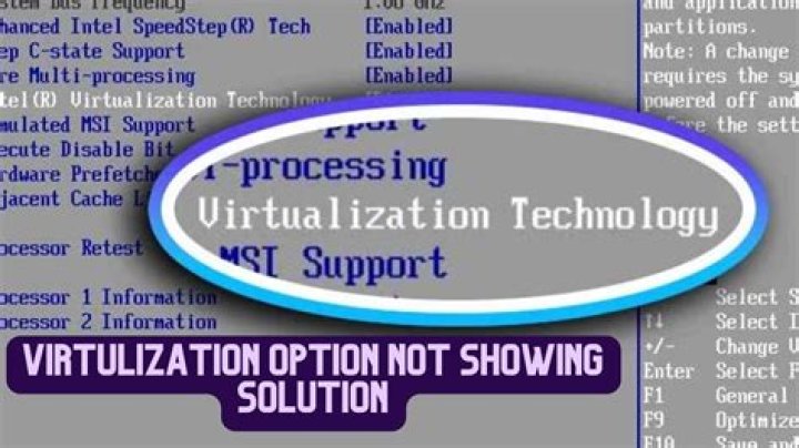 Solution Virtualization not Supported, BIOS missing virtualization option?