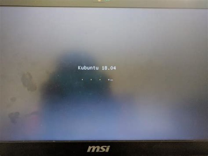 Splash screen after Try Kubuntu with nomodeset
