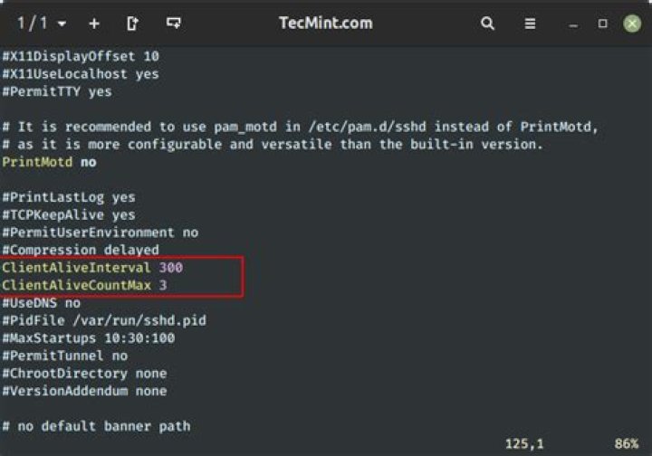 SSH on macOS to remote VM gets client_loop send disconnect broken pipe