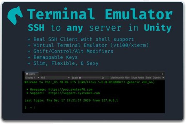 *SSH* tab