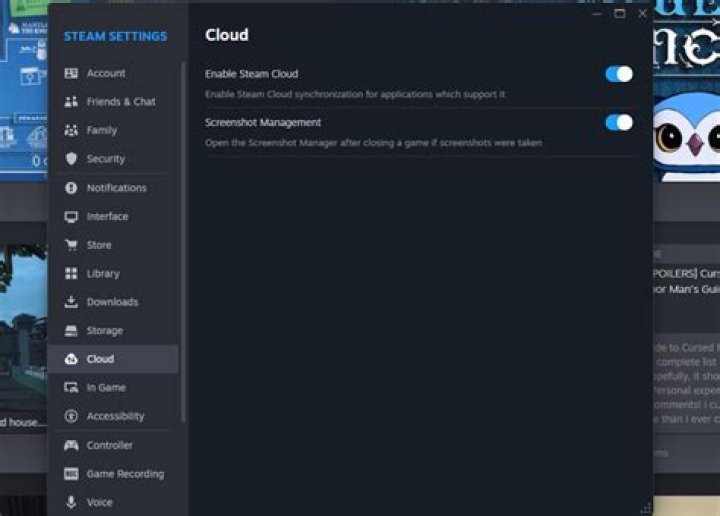 Steam Cloud settings image