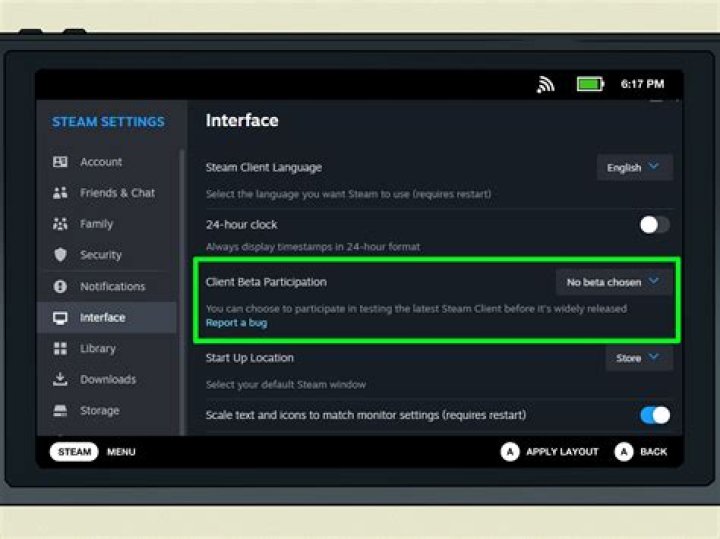Steam settings