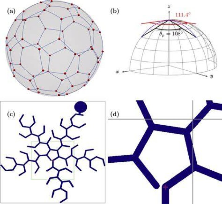 Stereogram of the icosahedron