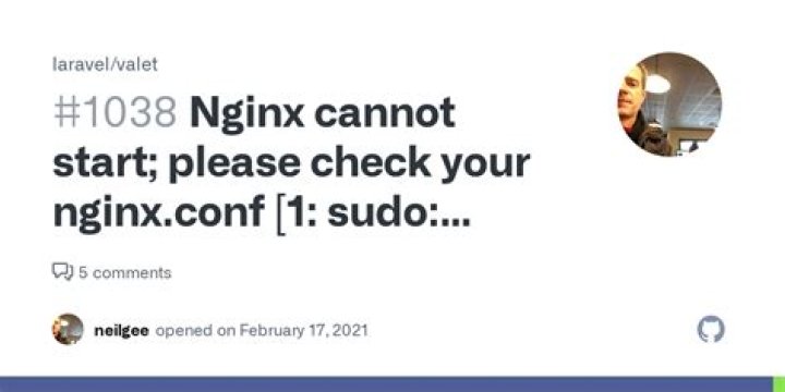 sudo: nginx : command not found