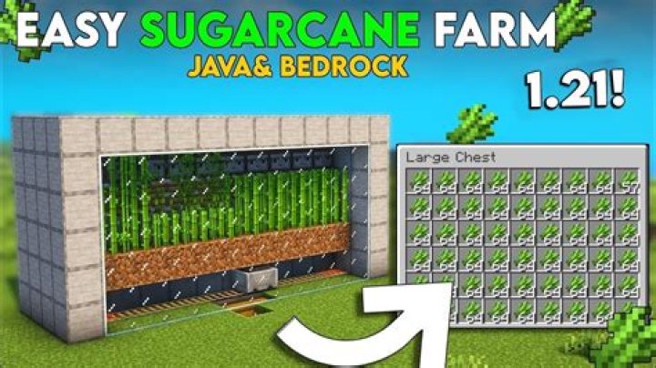 Sugar cane farm with auto moving collecting cart