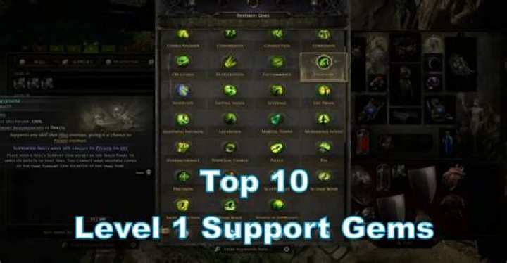 Support gems for auto-defense skills