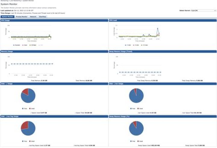 System Monitor Page