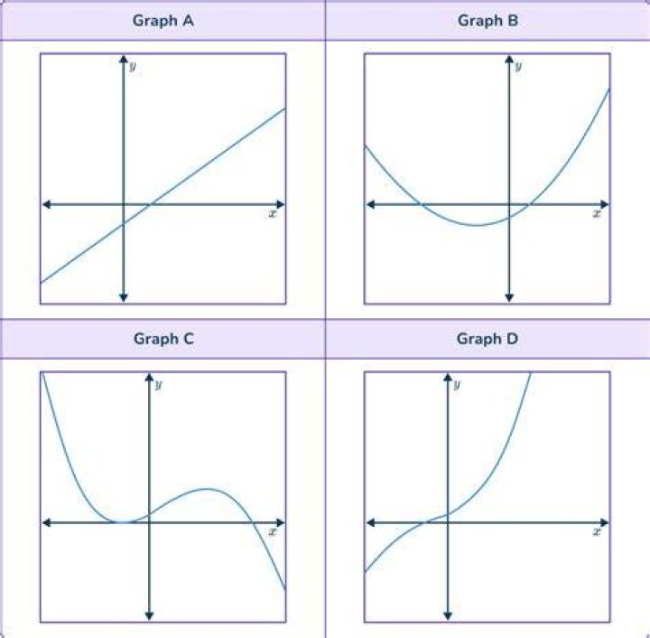 the graph