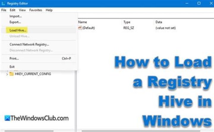 The registry cannot load the hive (file):