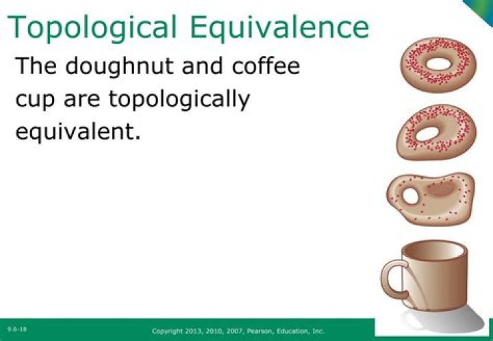 The significance of Topologically Equivalence (To A Donut)?