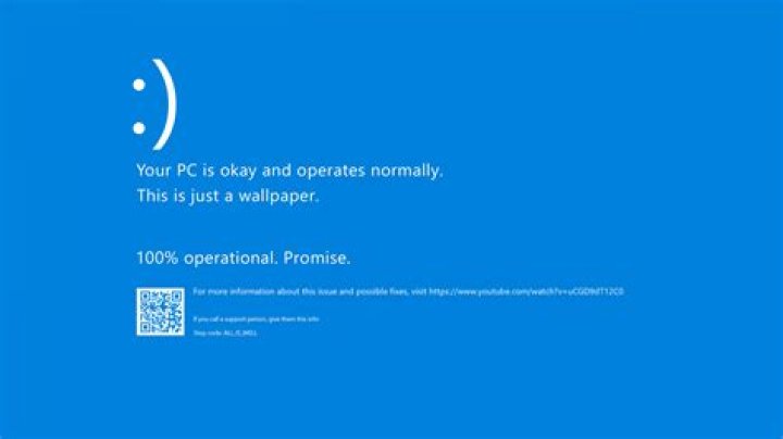Too many blue screen of death errors on a Dell Inspiron running Windows 10