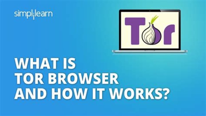 Tor Browser and how it affects torrents