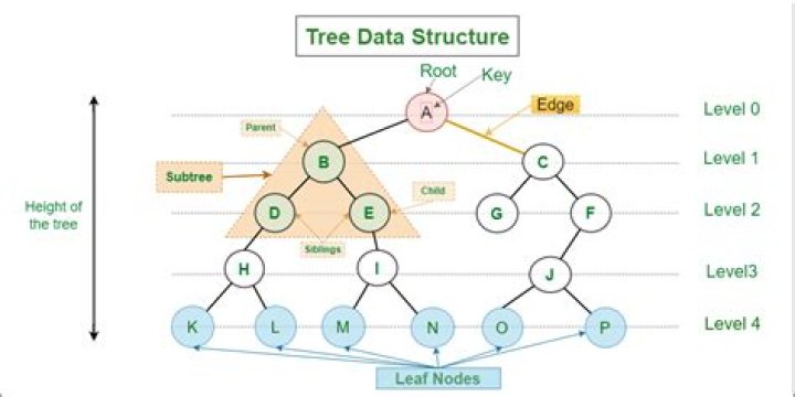 Tutorial for Tree Data Structure in C