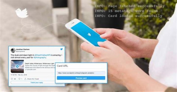 twitter card validator - there is no error message but the image is missing [closed]