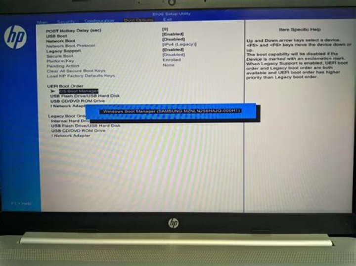 Ubuntu not showing hard drive