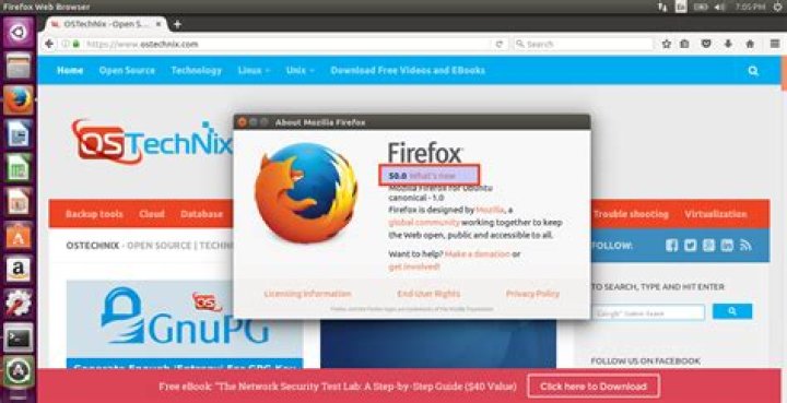 Unable to downgrade firefox version using apt-get in Ubuntu