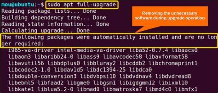 Unable to use sudo apt-get update: 