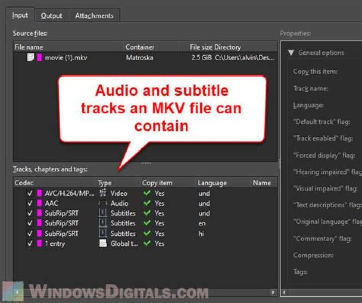 Using mkvmerge to Merge Subtitle Tracks