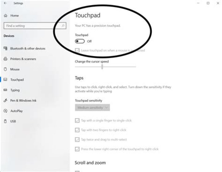 Using outlook.office.com OVERRIDES Windows 10 setting disabling Touchpad (!!!)