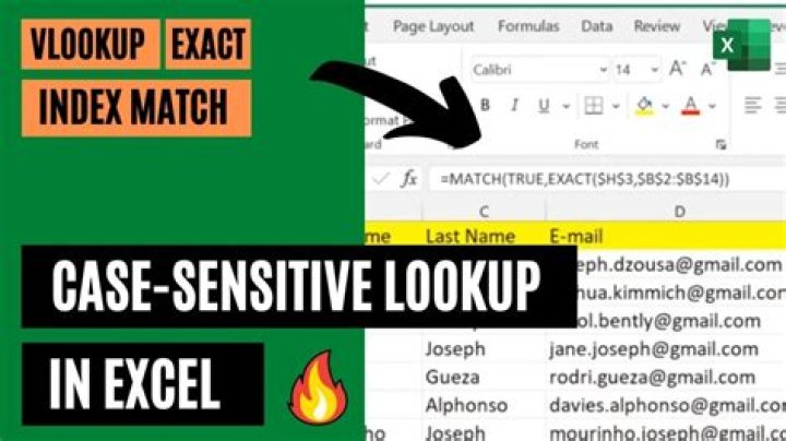 VBA Case sensitive Application.Match