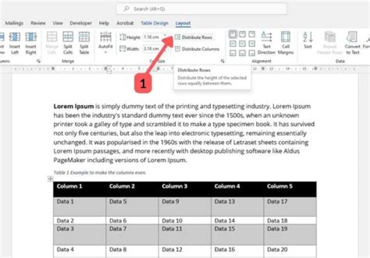 Very large paper height in Microsoft Office Word