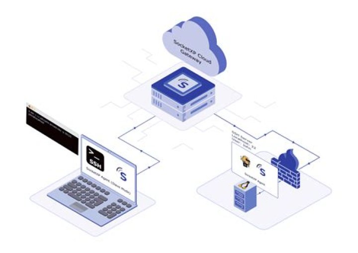 Web browsing over SSH