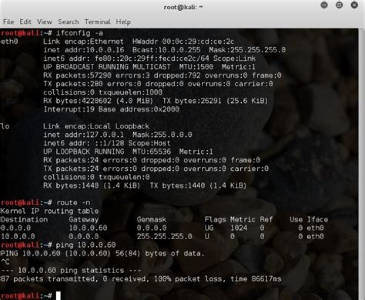 Weirdly I can't ping my Gateway from linux virtual machines
