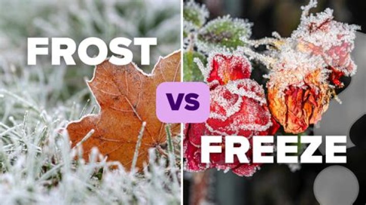 What's the difference between Frost Walker I and Frost Walker II?