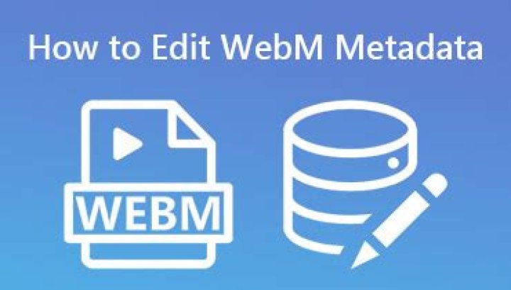 What application can edit WebM metadata?