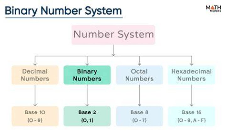 What are the names of numbers in the binary system?