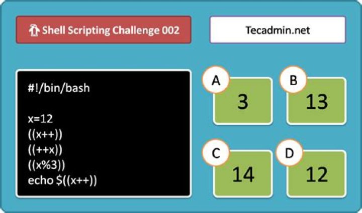 What does > /dev/null 2>&1 || true mean in Linux?