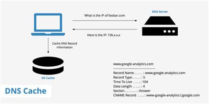 What does DNS flushing do?