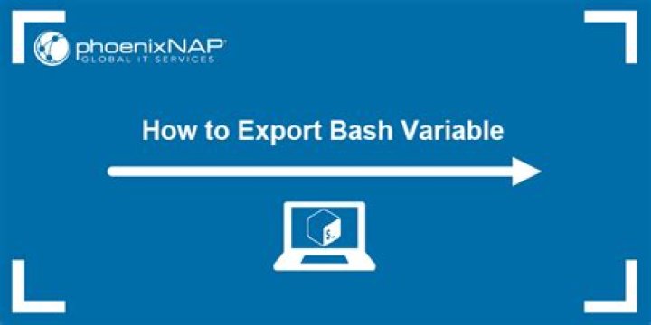 What does export do in BASH? [duplicate]