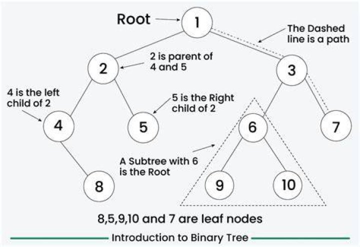 What does $\lg x$ mean? is it $\log_2 x$ or $\log_{10} x$ in binary trees