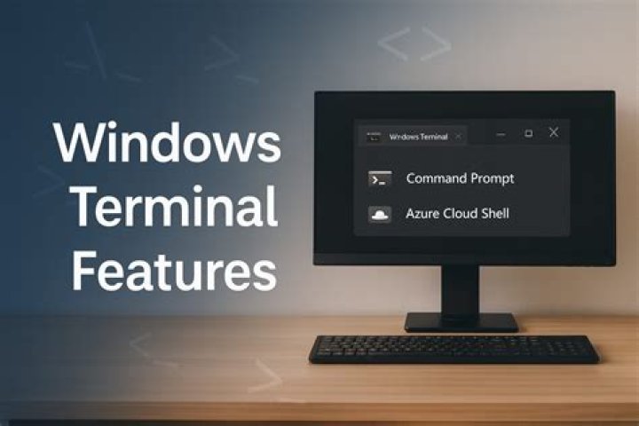 What does Terminal app's 