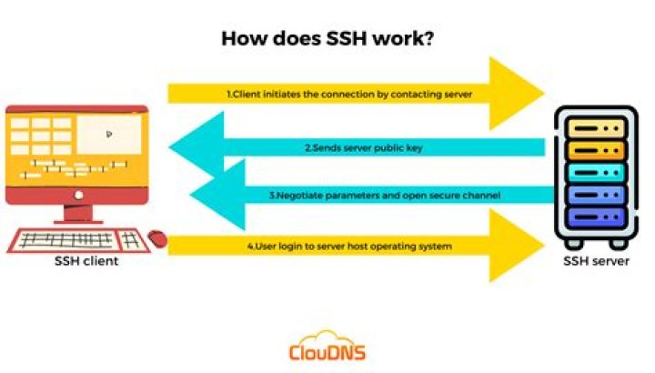 What does the L option of SSH do?