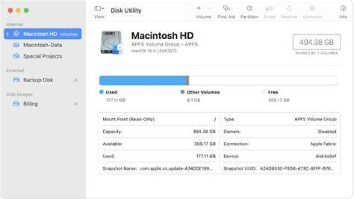 What does this icon in Disk Utility mean?