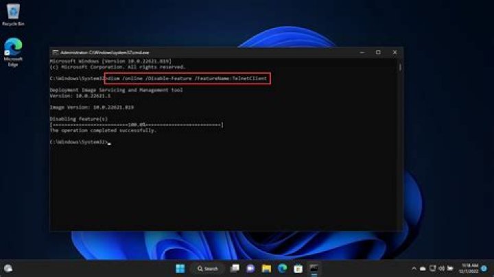 What encoding does MS Windows telnet use by default?