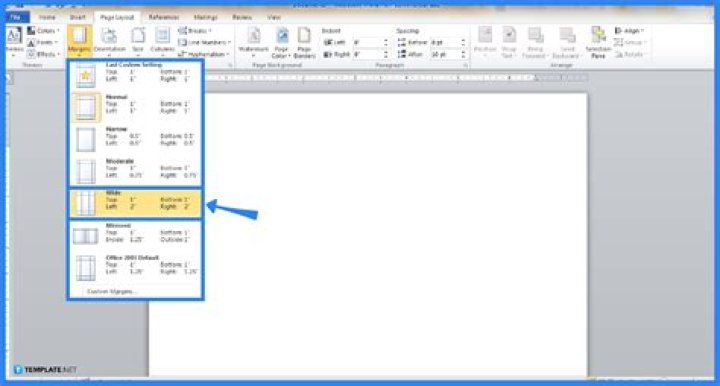 What exactly is displayed on the left and right borders of the screen?
