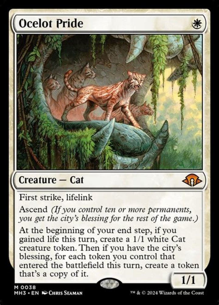 What happens if your ocelot cannot spawn into a cat