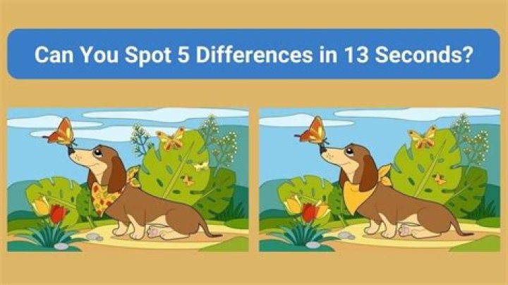 What is the difference between $ and $$