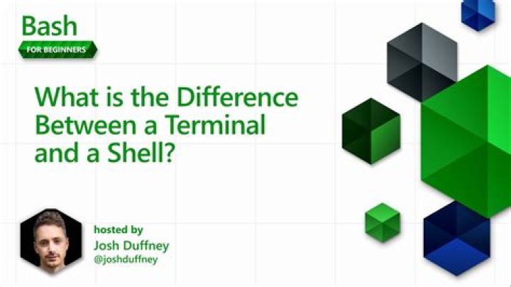 What is the difference between terminal and bash? [duplicate]