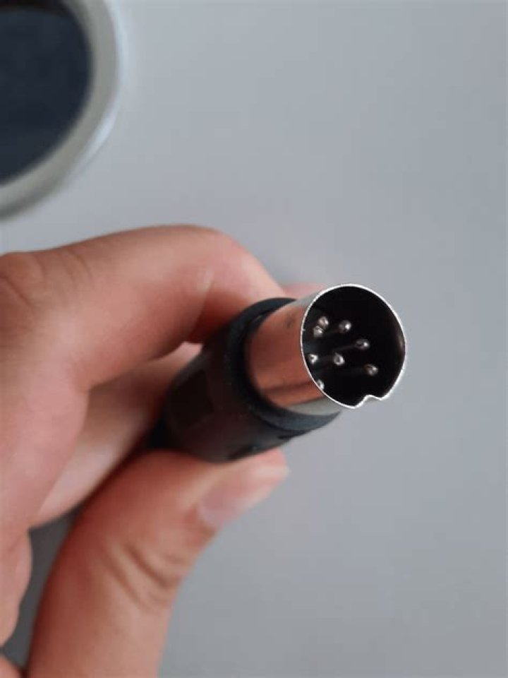 What is the end of this cable?