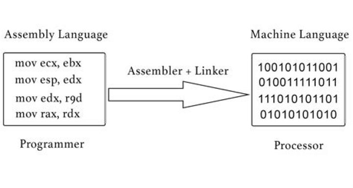 What is the meaning of XOR in x86 assembly?