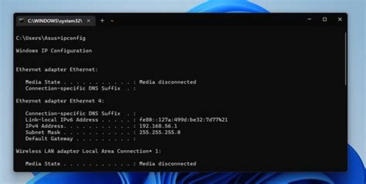 What is the purpose of config\Software.log