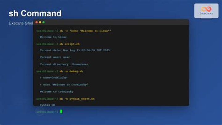 What is the purpose of the `sh` command?